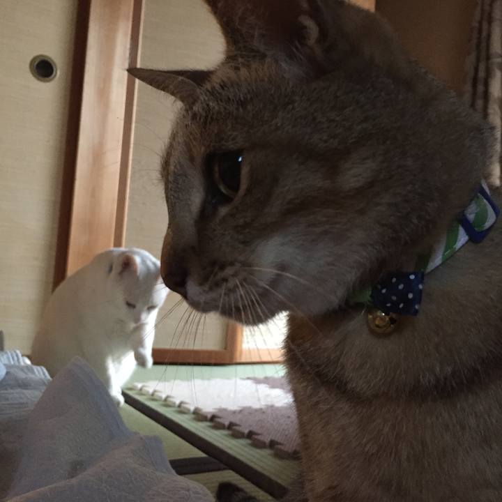 3da523f8 b6af 4ddc a30d 8a3d66558f37