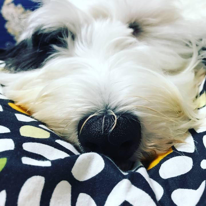 3da57550 d831 4e28 b197 827369d69852