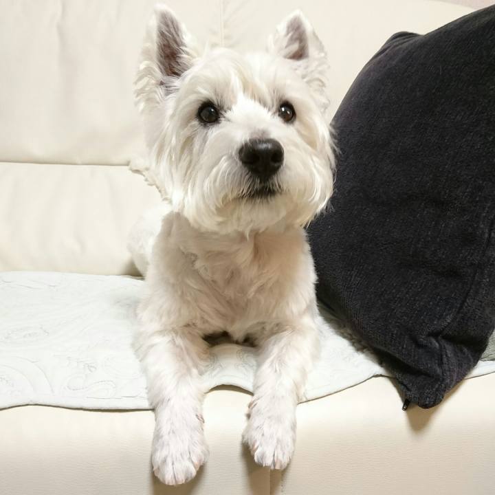 3da5e7d6 01fc 4982 84a5 1ae725622be8