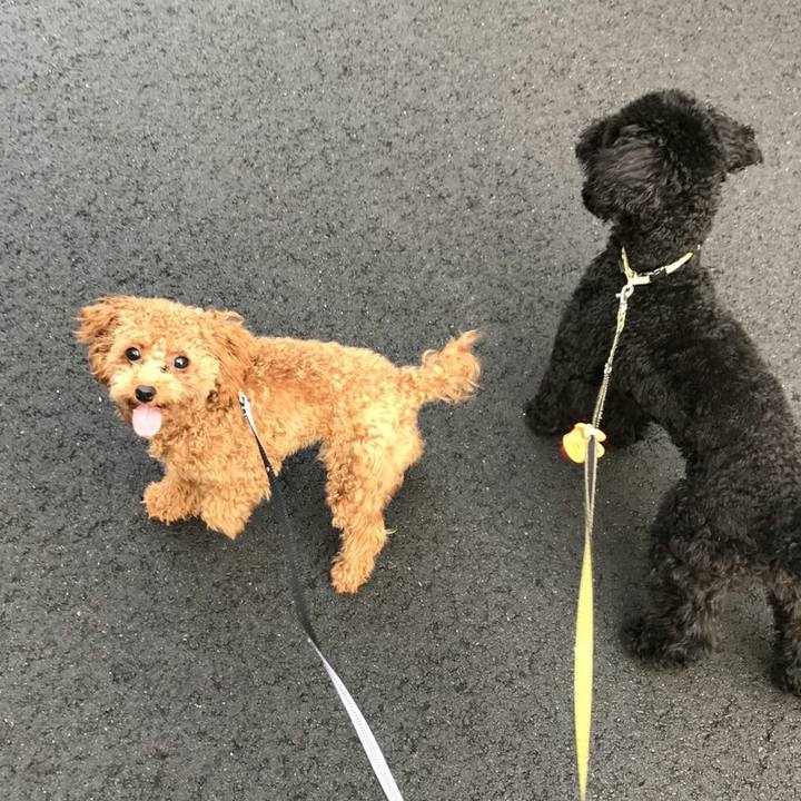 3da5f373 2dec 480c ac31 2c614682b698