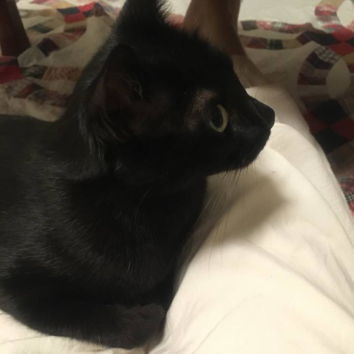 3da61442 3860 42ba a4c4 9ca3fa55c032