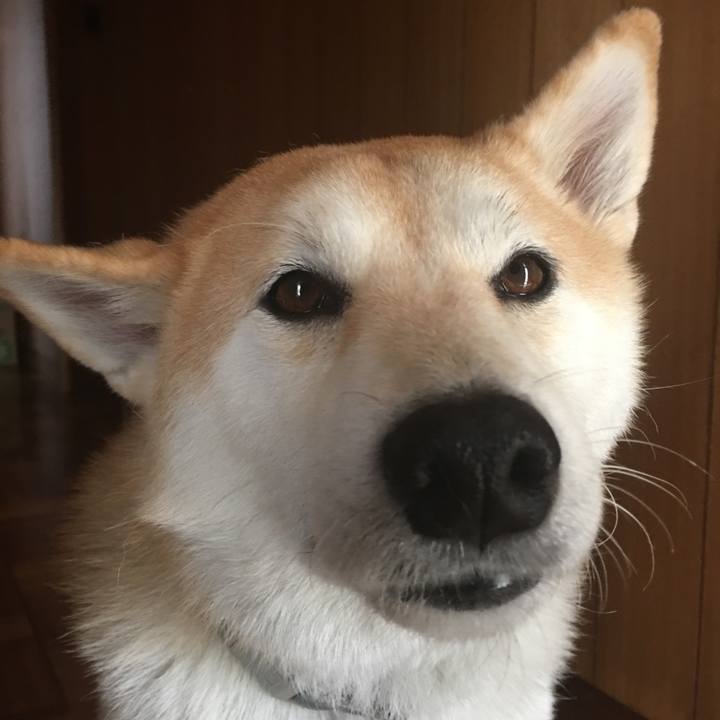 3da6bf66 f0c6 4843 bb83 cb6e48ffaac2