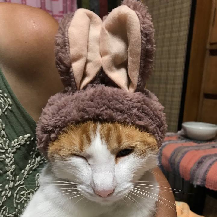 3da6ff40 87cd 4dee a618 84c5a03ba71b