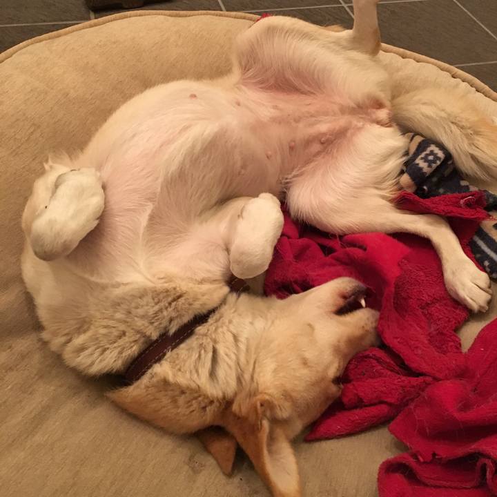 3da70c79 3775 4995 a792 96f36c39d2a8