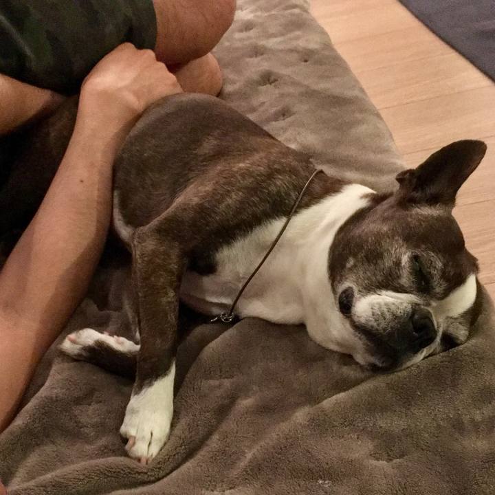 3da72289 95d3 4f72 a8dc 608bf38463de