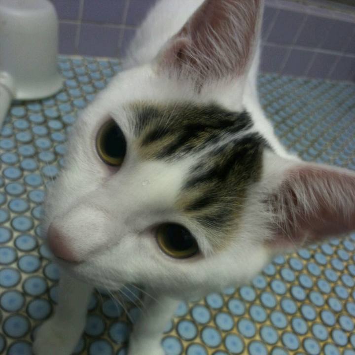 3da72389 8adb 4483 ba5f e8ade31d16bb