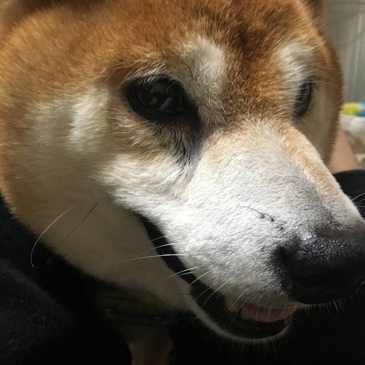 3da73428 1e7b 4fb9 ac4c a52445f1565e