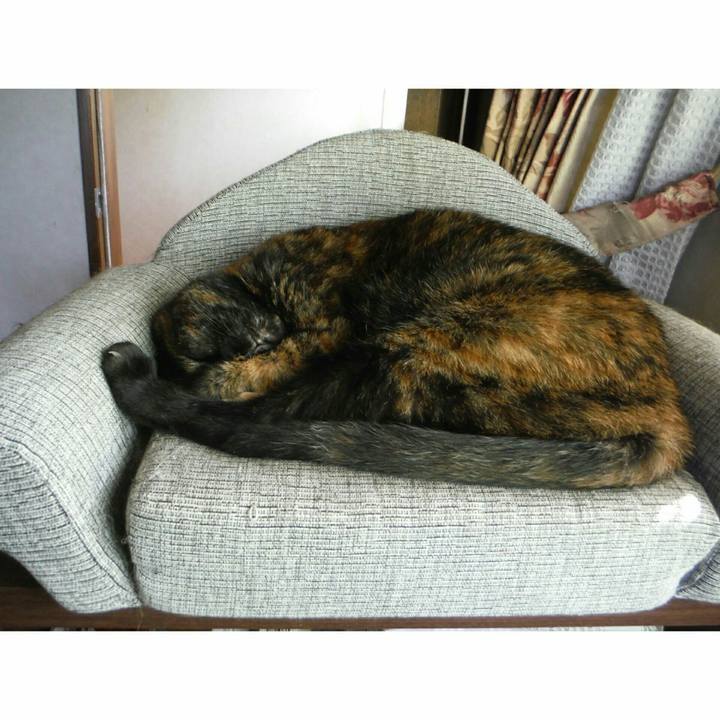 3da75eef 3cd7 453a 942a 1064ae84754a