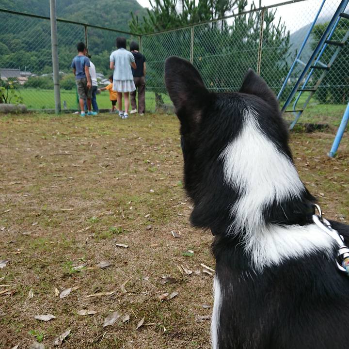 3da87fce 24e3 4759 b681 2fb8973e50a6