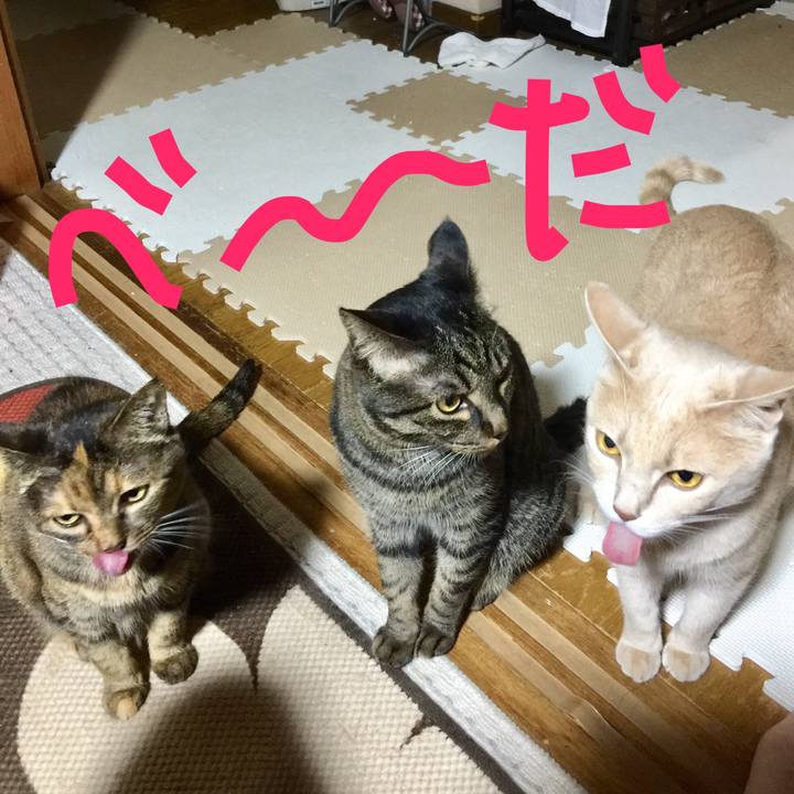 3da8835f aead 4570 881b ef4d8976cd3e