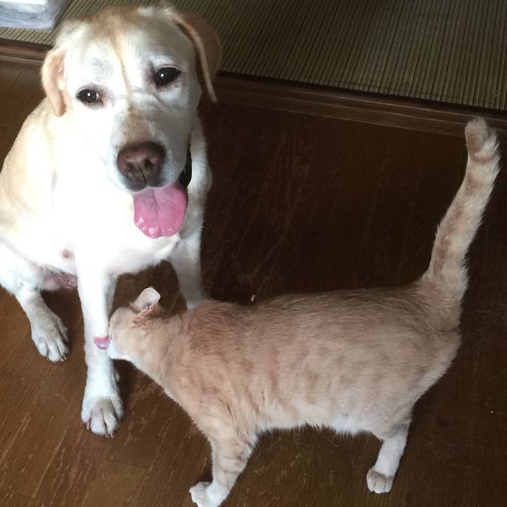 3da8c941 3f4f 4776 9a3e ca24b9785dc7