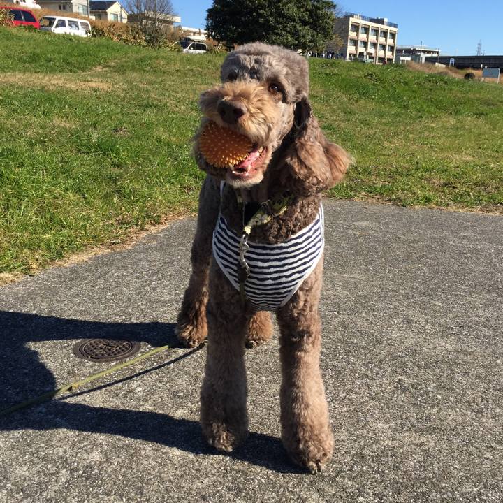 3da94ca6 f1b0 4d73 b827 724723902697