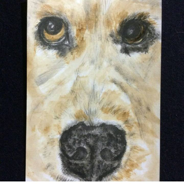 3da9955f 9c9f 4c51 bafa a8d3444f8d05