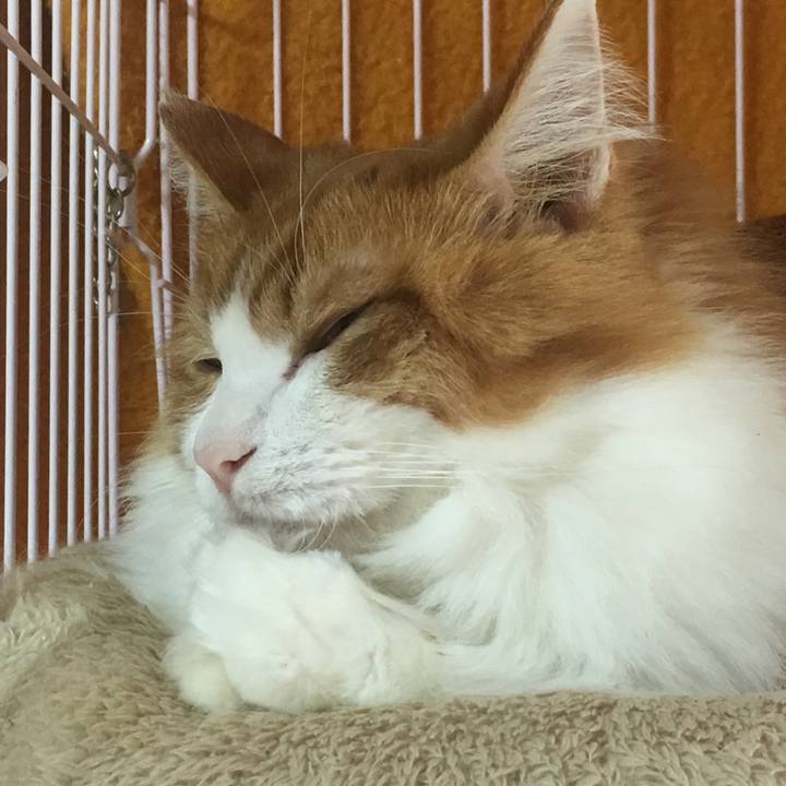 3daa1aa7 e3c8 4d65 a74c 895dd005f192