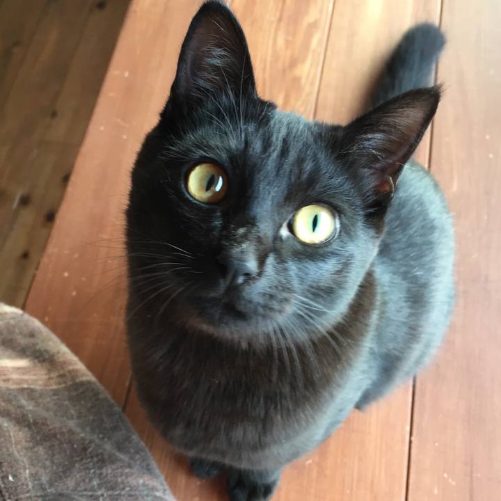 3daa3516 6018 49db 9c80 52c4c4a15597