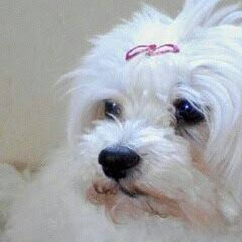 3daab987 4e35 4d35 96c7 d16b74d210ac