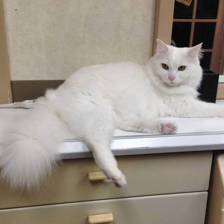 3dab21e1 db39 4b86 a8b8 dad06632edd0