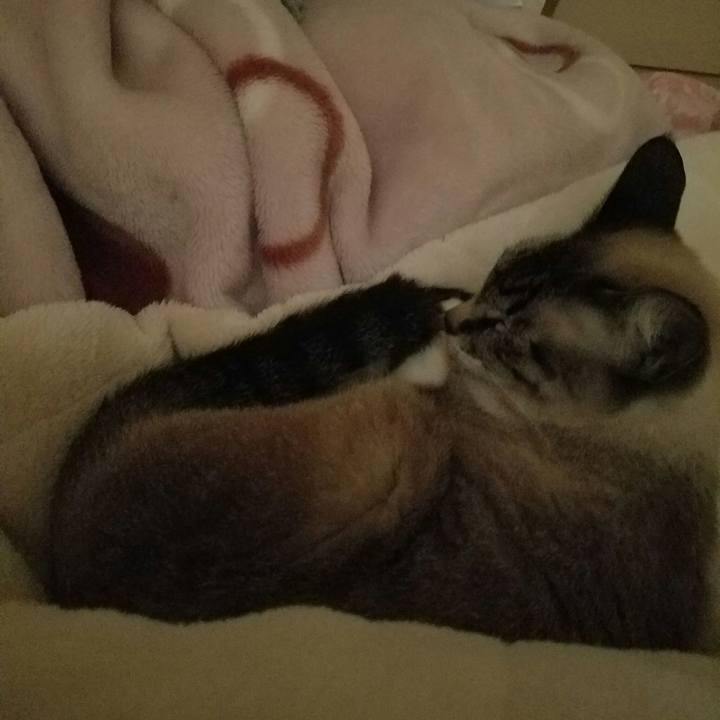 3dab4bdc 2c6c 4c44 98b9 014872eb48bb