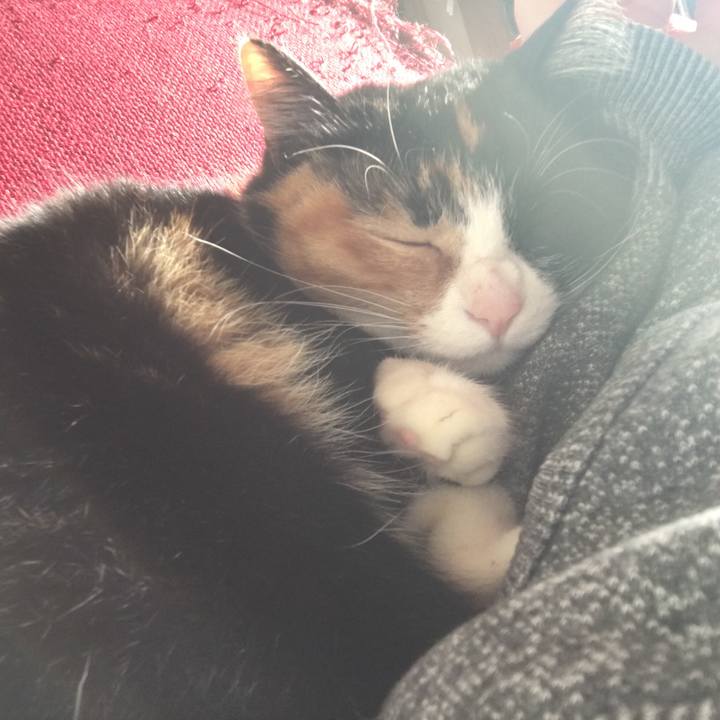 3dab4f8d 1abb 4c59 8de5 c8a2e9626cc9