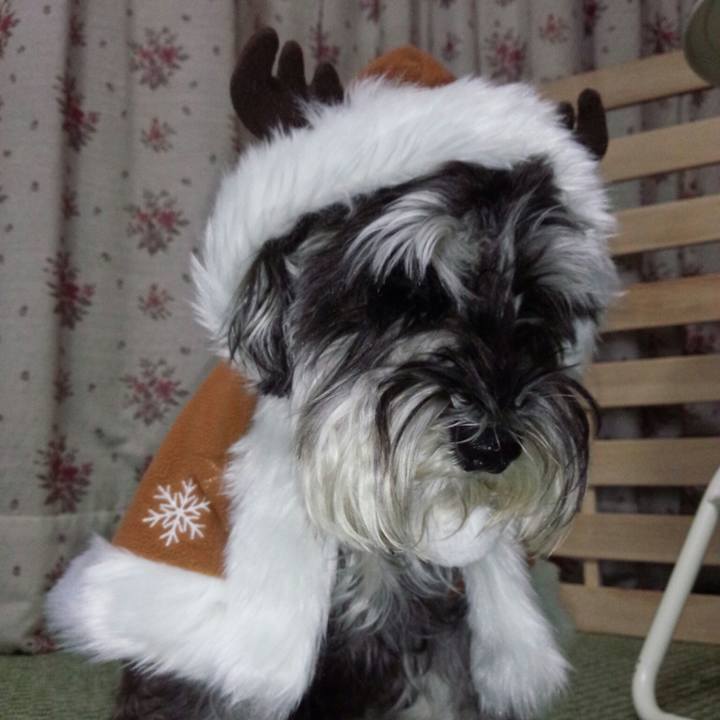 3dab69c4 d7cc 48d0 ac34 2a78fc82971a