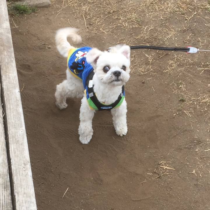 3dabc5d6 3e15 4c3d 862d dc98abd9b457