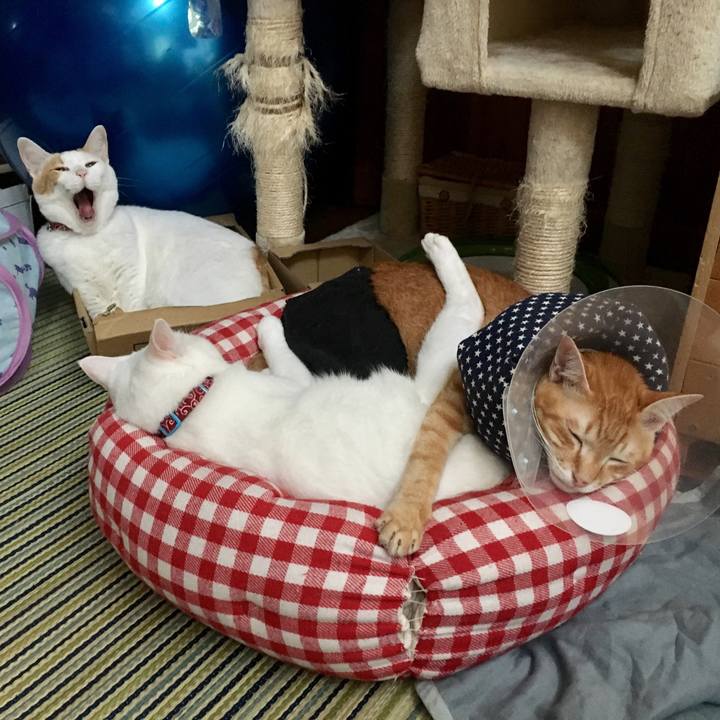 3dabf383 9dd8 43c3 a5f2 02b2a5b3d613