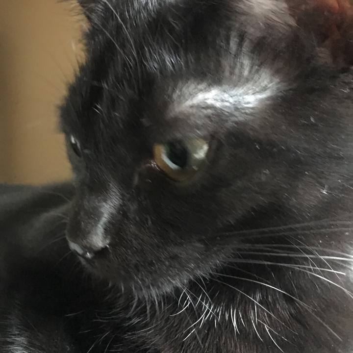 3dac005a 99d6 46d5 8e4c d6755a9d95f9