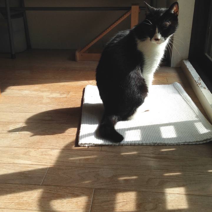 3dace9ab c3a8 4e7d 8789 5b330e806f28