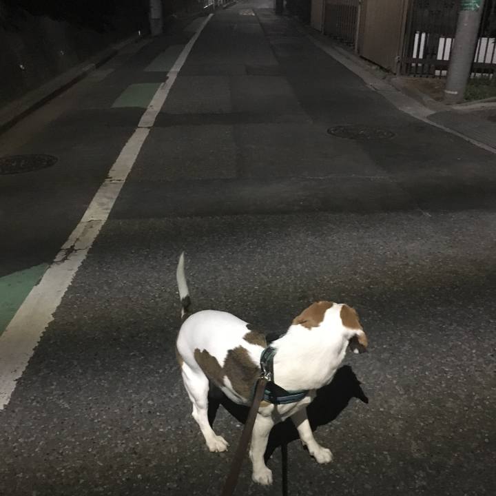 3dae123b 361a 4d34 8536 44299bf5ad79