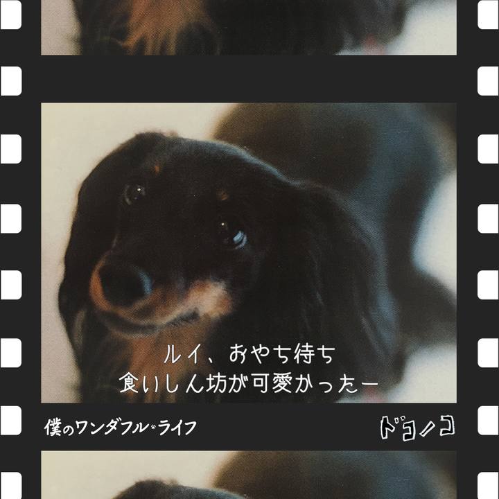 3daf2820 14e0 45e4 9d38 82cf7d6eadbc