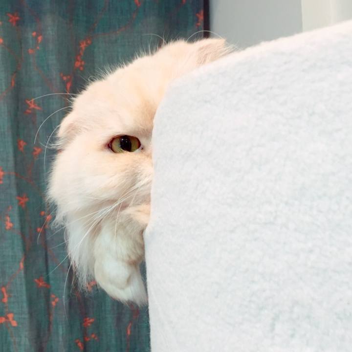 3daf4176 7281 4088 8223 703b6cbe9a3d