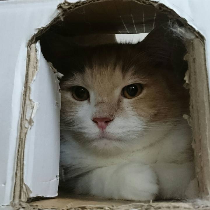 3dafcbf2 f9dd 4348 b2cd 5306f05f92af