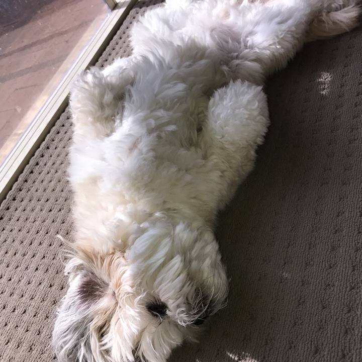 3dafe66e b047 4dee 9815 651adcfd2c91