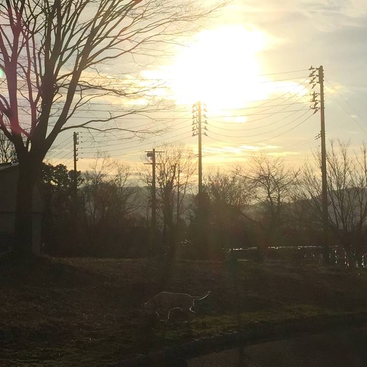 3db006e0 fef5 4118 b271 f9a76809e0a1