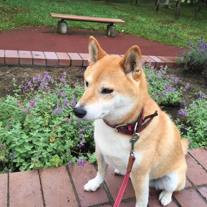 3db01409 faaf 4a35 a82d def45f3d10af