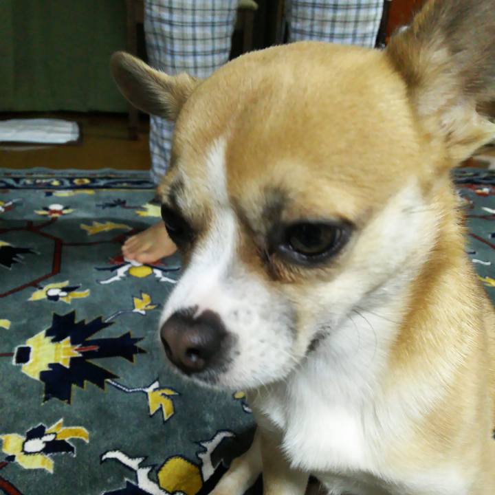 3db09395 e853 47b3 b3e3 ec5b47260d3d