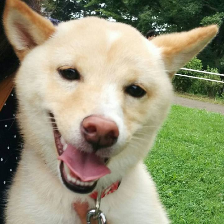 3db0f285 c911 4712 8d18 7321f48f7db7