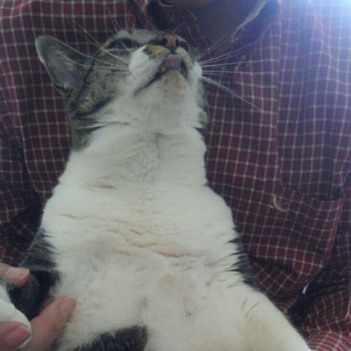 3db0fa3e fceb 485f 9576 843b6e139837