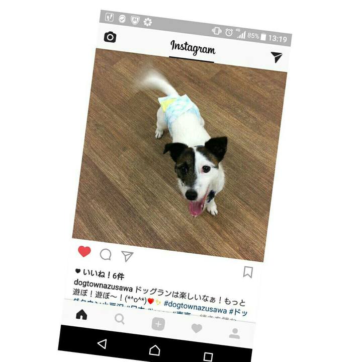 3db10587 4263 4c23 9cb2 14fad9e62106