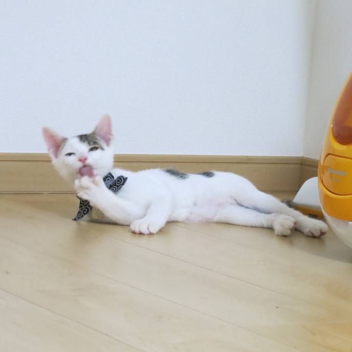 3db12ec1 9528 4f6d b7ab 0ebf235860d7