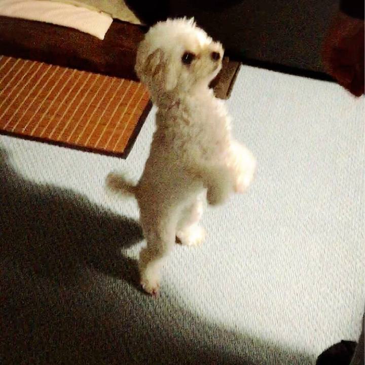 3db15e5e efd6 4534 9fe7 56ed09525ab9