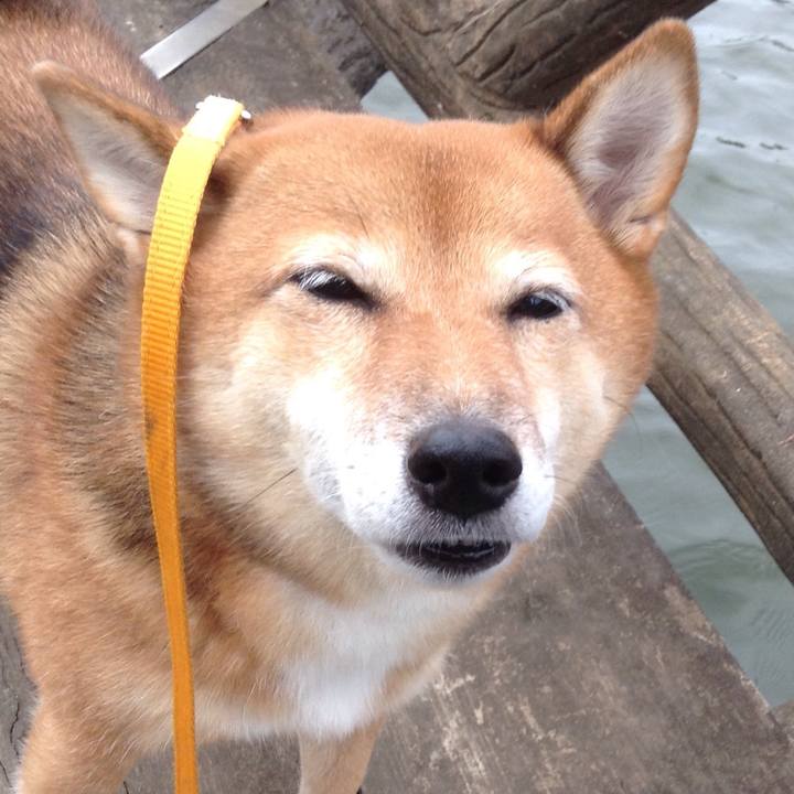 3db1735f 4a39 47d1 a470 90aefe2ea43c