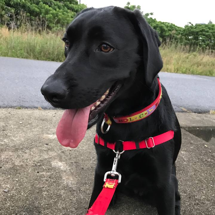 3db173c3 8184 42dc 8a98 a4d563fd621f