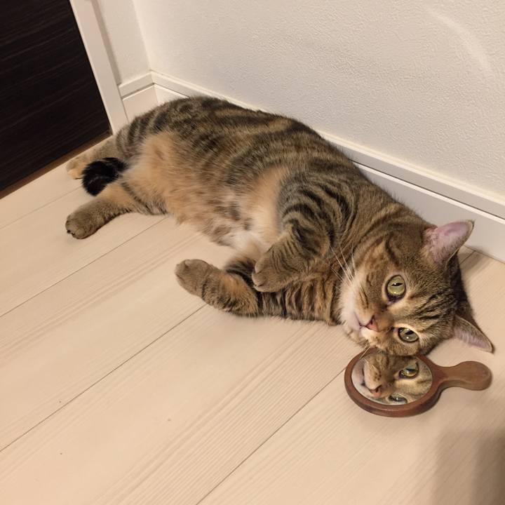 3db1802d f076 4559 a2fc f45d41ccea9a