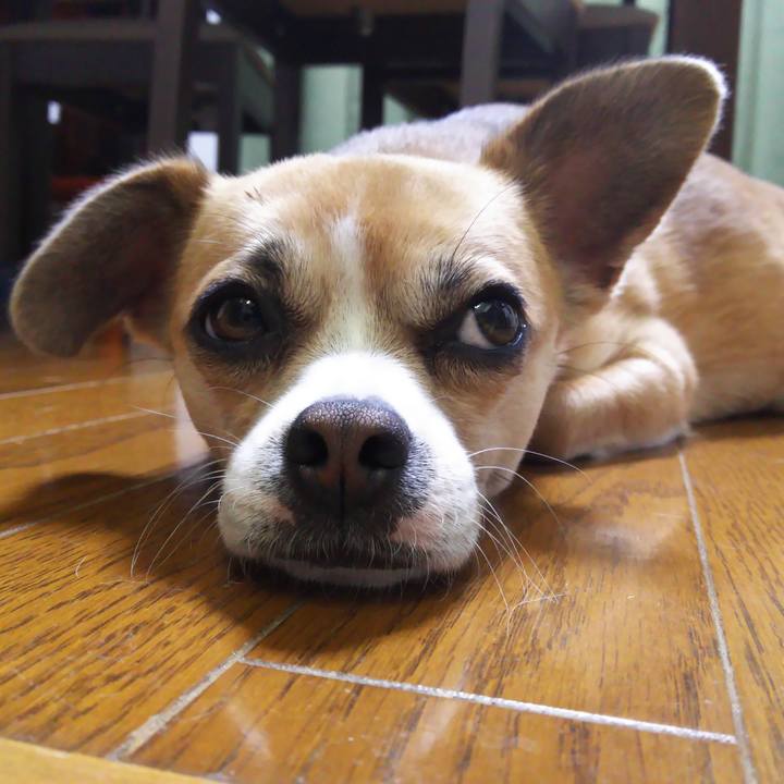 3db190eb c258 431d abf2 bb1ee6679e02