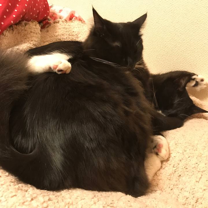 3db1c8a4 5a86 4e38 882f 6343ad7955a3