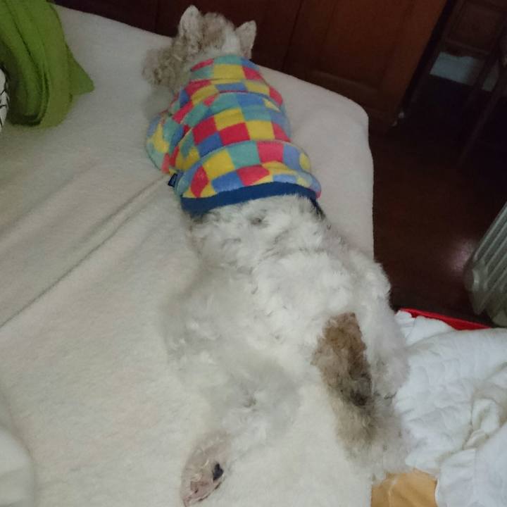 3db21069 f782 4ac7 a4c7 e8b547c423da