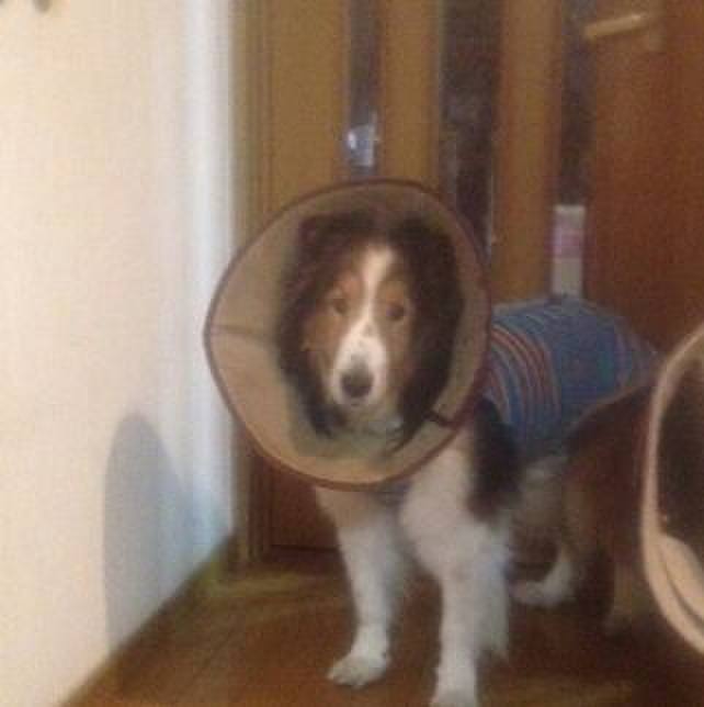 3db31eee de32 43e7 a28e 5a92caeb5916