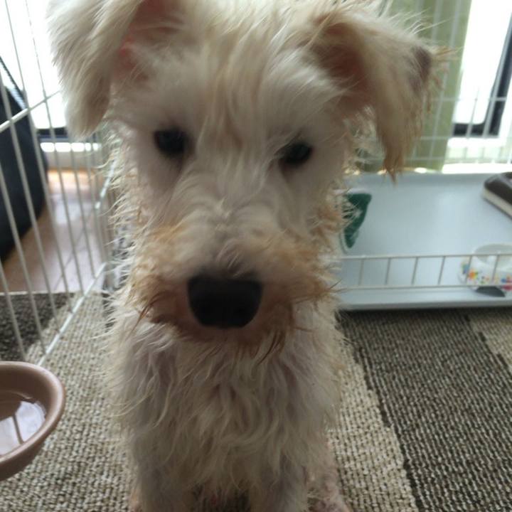 3db36ca0 bbbf 451c 9bda 24345be25062