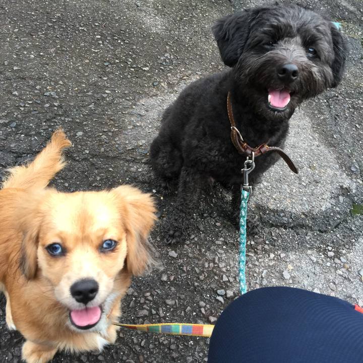 3db3f0c1 4195 4bc2 9f98 4b1ca0cfa629